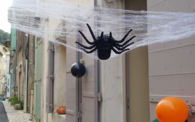Halloween !
