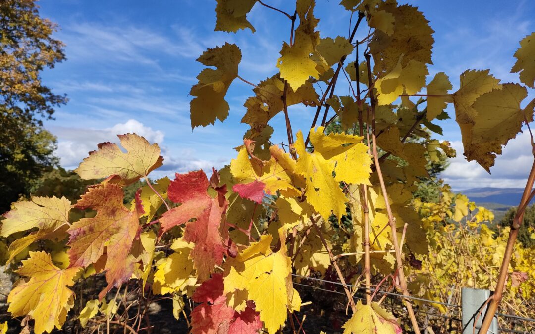 L&rsquo;automne est là !
